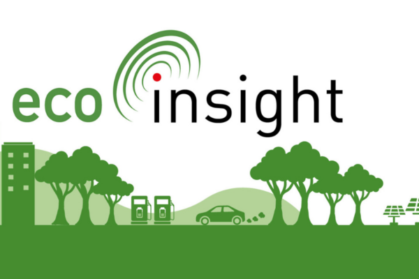 Eco Insight Logo